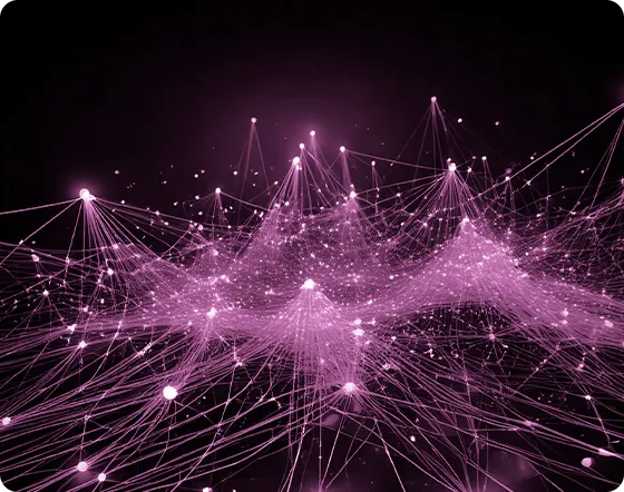 OTN network